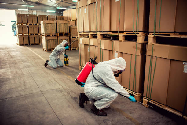 Best Pest Control Near Me in Ruhenstroth, NV