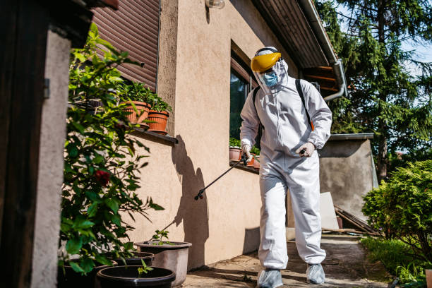 Best Affordable Pest Control Services  in Ruhenstroth, NV