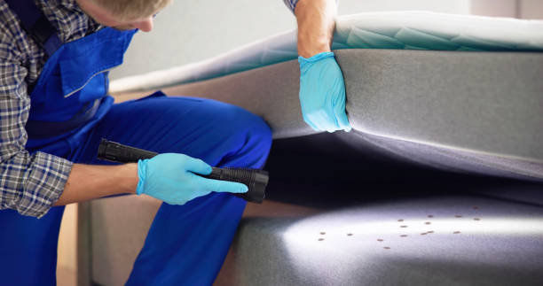 Best Mosquito Control Services  in Ruhenstroth, NV