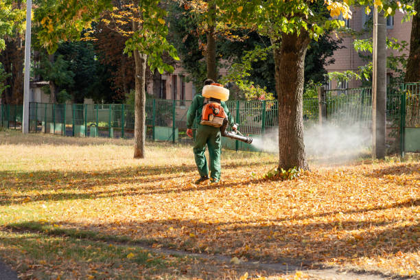 Best Emergency Pest Control  in Ruhenstroth, NV