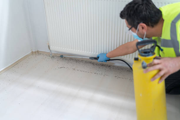 Best Commercial Pest Control Services  in Ruhenstroth, NV